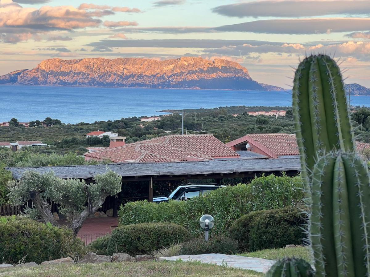 Villa A Golfo Aranci Con Vista Su Tavolara Marinella  Esterno foto